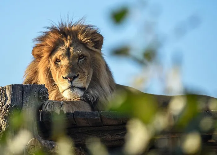 Διαμέρισμα Emerald